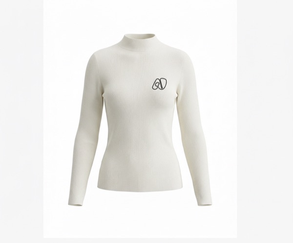 Embroidered Sweater In Camel